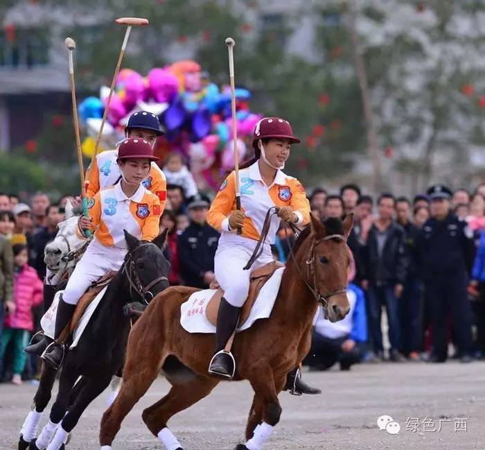 广西德保枫叶什么时候去最好看,2018年德保枫叶最佳观赏期