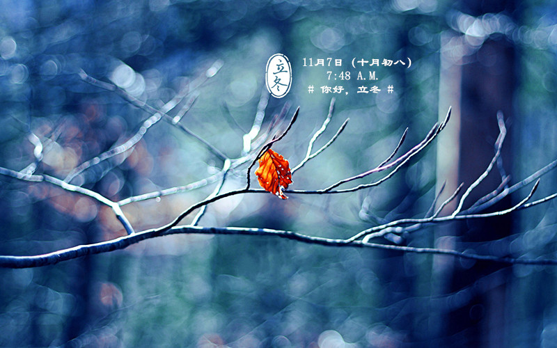 时已立冬，浙些美景再错过就要等明年了！