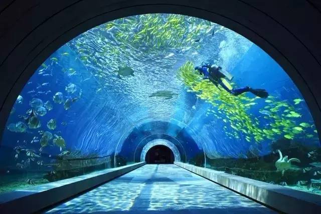 三亚旅游5天名额免费送,三亚旅游最新优惠活动