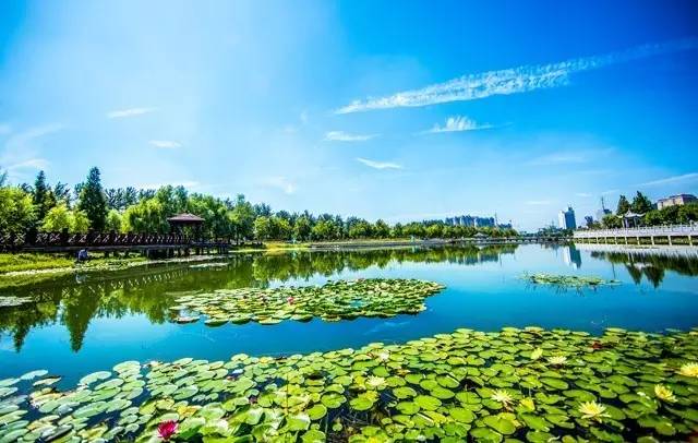 近距离学习历史文化,远学丹阳近学吴江