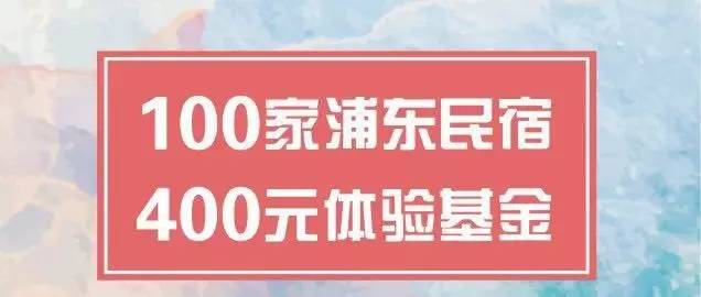 上海民宿100元左右,上海浦东民宿2个人100元以内