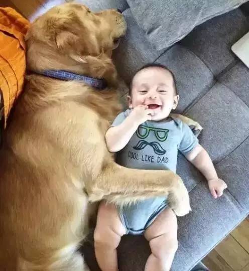 又软又舒服的可爱抱枕,让你幸福感爆棚的可爱抱枕