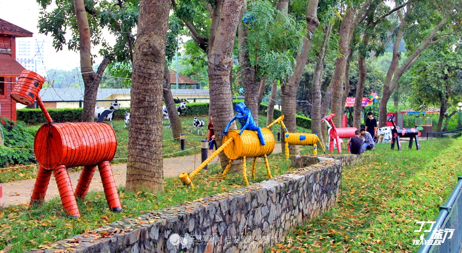 周末公园健身舒适愉悦的锻炼体验,观澜生态体育园