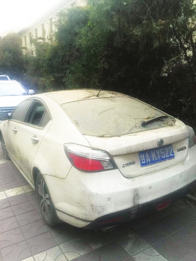 小狗前爪弯曲走路一瘸一拐,小狗前双腿残疾被救助者治好