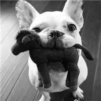 实用年货|今年让自家爷爷也时髦