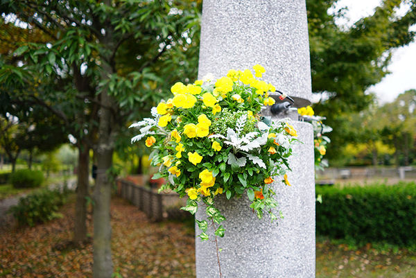 索尼fe24mmf2.8二手,索尼正式发布fe24-70mmf2