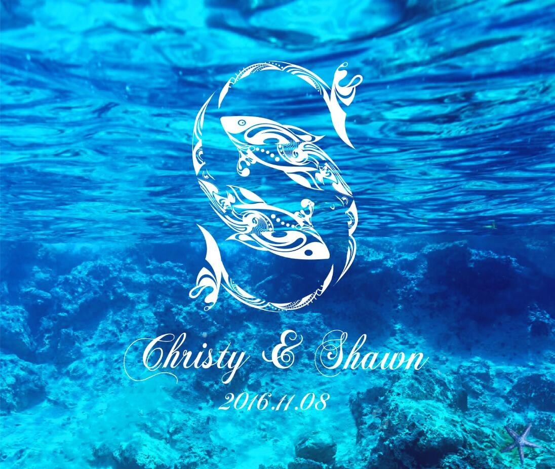 人鱼夫妇钟丽缇张伦硕机场,人鱼夫妇钟丽缇张伦硕歌曲