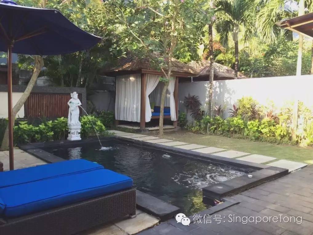 新加坡巴厘岛旅游视频,新加坡攻略吐血版