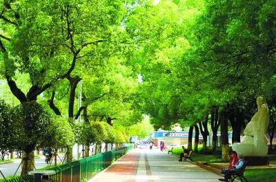 每日“最”新闻：最壕公司过生日，群发股票“拉仇恨”|长沙网