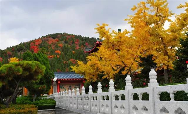 山东烟台龙口南山风景区攻略,烟台南山龙口游记