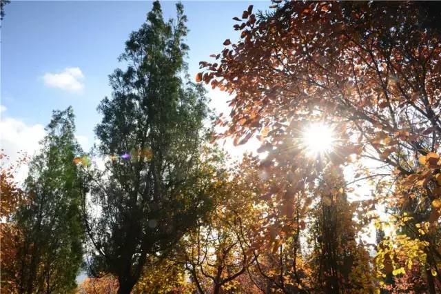 山东烟台龙口南山风景区攻略,烟台南山龙口游记