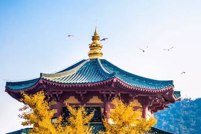 山东烟台龙口南山风景区攻略,烟台南山龙口游记