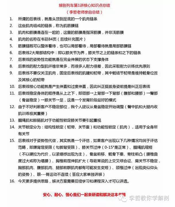 学员精彩笔记（2）|什么是后表线？它到底在人体中扮演怎样的角色