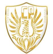 内藏福利娱乐星赛季紧张备战国风竞技引燃冰城