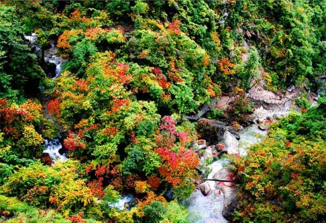 秒杀旅行第二弹|11个爆款脱单地，剁手价￥11诗画浙江任你游！