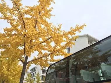 科博会开幕表演,科师大音乐节