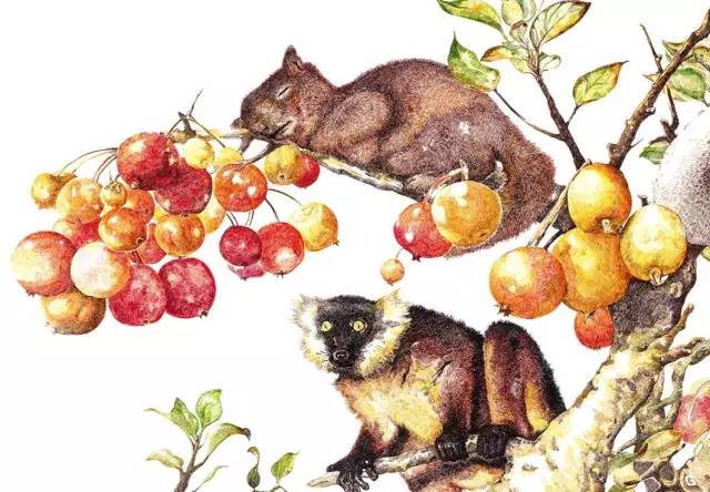 优品艺术｜赵娜：时间是滚动的步行梯