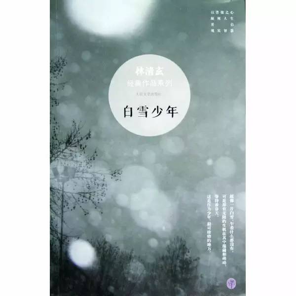 文澜经典作品课外书,文澜小学书单