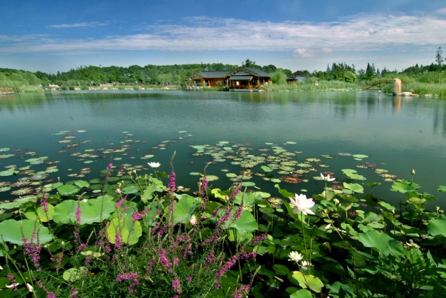 金秋十月，卡卡带你去秋游！一起去沙家浜度假！10个免费名额等你拿！