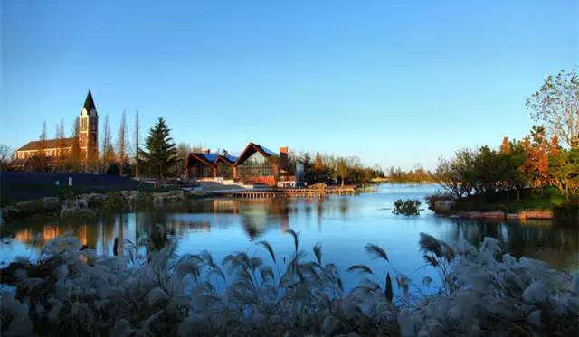 青荣城铁今天全线开通！这些地方你不可错过！