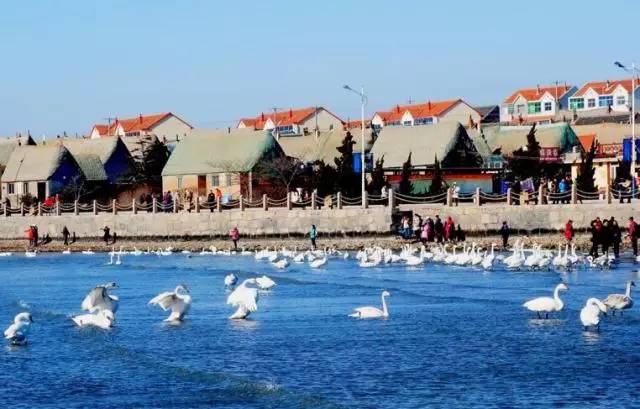 青荣城铁今天全线开通！这些地方你不可错过！