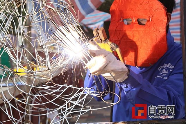 鸡年灯会视频,大唐芙蓉园鸡年灯会夜景