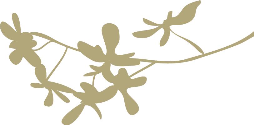 金秋十月，卡卡带你去秋游！一起去沙家浜度假！10个免费名额等你拿！