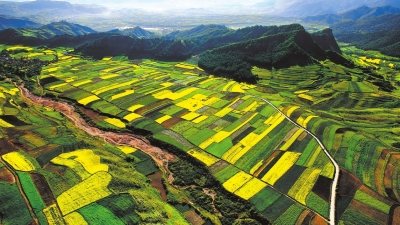 小狗前爪弯曲走路一瘸一拐,小狗前双腿残疾被救助者治好