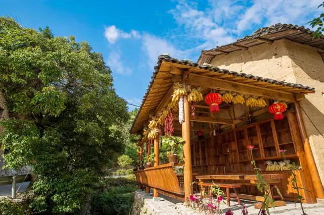 时已立冬，浙些美景再错过就要等明年了！