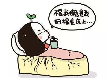 懒癌不想做外卖,懒癌福利吃火锅再也不怕捞不到菜