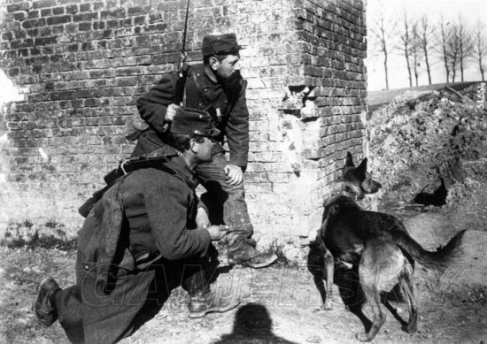 战地1有巨炮的是哪个地图,战地五地图原型