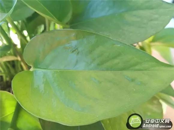 vivo前置柔光自拍,vivox11600万柔光自拍