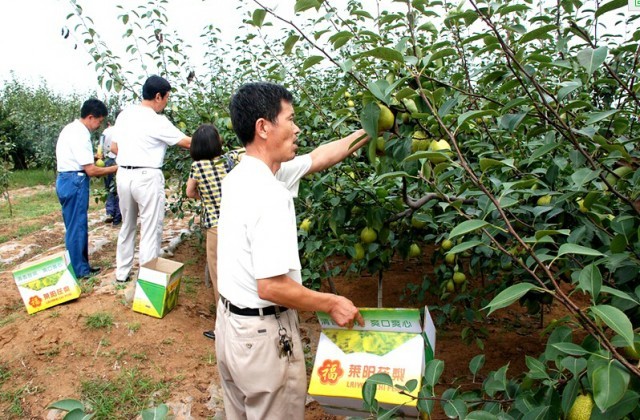 青荣城铁今天全线开通！这些地方你不可错过！
