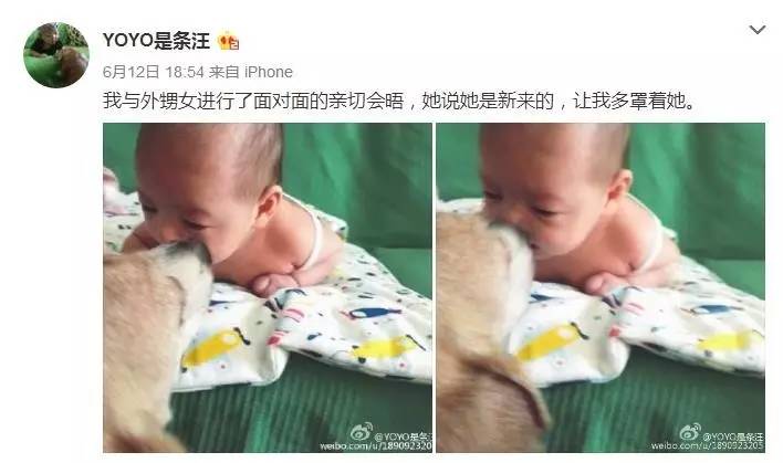 大咖记｜高情商梓琳怎么处理家庭“内斗”：YoYo和胖妹开始争宠啦