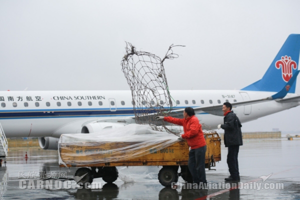 双十一快递物流业迎高峰,双十一快递运输洪峰