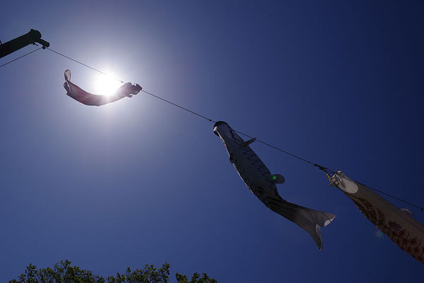 宾得k-1,宾得28-135镜头怎么样