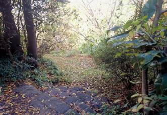 「花园集分享」野风系澳大利亚园林景观设计简析