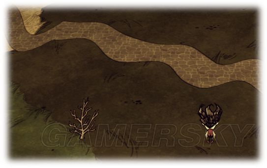 饥荒威尔逊开局,饥荒威尔逊生存