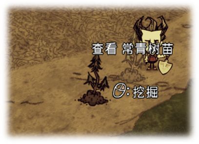 饥荒威尔逊开局,饥荒威尔逊生存