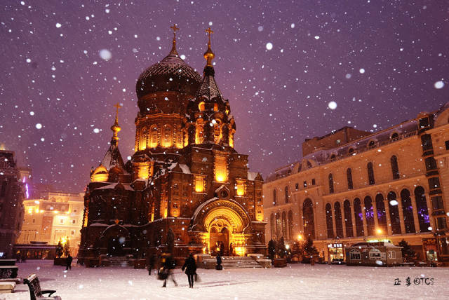 从武汉坐动车13个小时能直达哈尔滨了！睡一觉就能看到雪了！