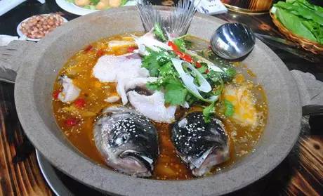 这几条千岛湖来的鱼厉害了，要在浦江干一番大事！