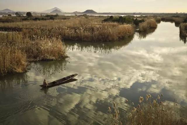 时已立冬，浙些美景再错过就要等明年了！
