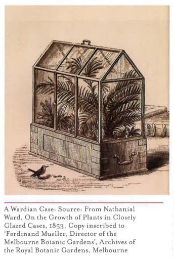 「花园集分享」野风系澳大利亚园林景观设计简析