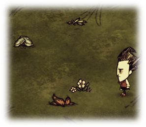 饥荒威尔逊开局,饥荒威尔逊生存