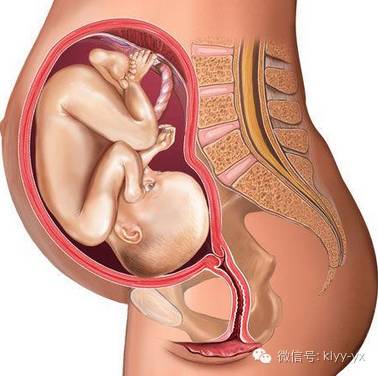 分娩见红为什么还没开宫口,临产前见红一定是分娩前兆吗