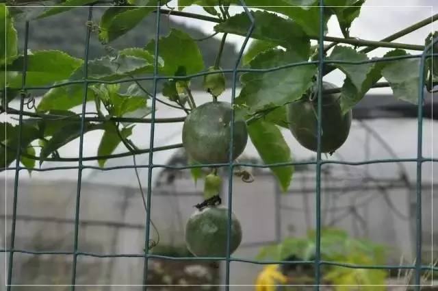 南宁市内空气好的地方,南宁周边郊外哪里好玩