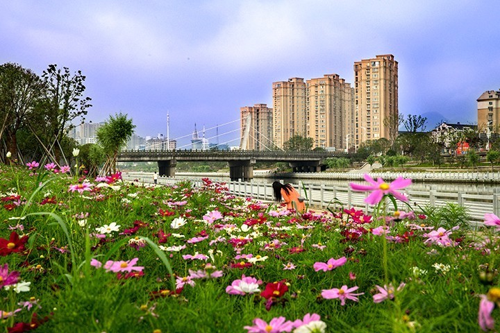 2024奉化的发展,2023年奉化