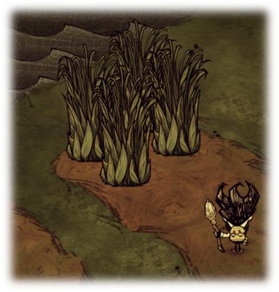 饥荒威尔逊开局,饥荒威尔逊生存