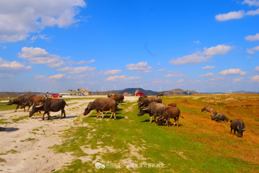 贵阳青岩文凡花间堂状元别院,贵阳青岩文凡状元别院