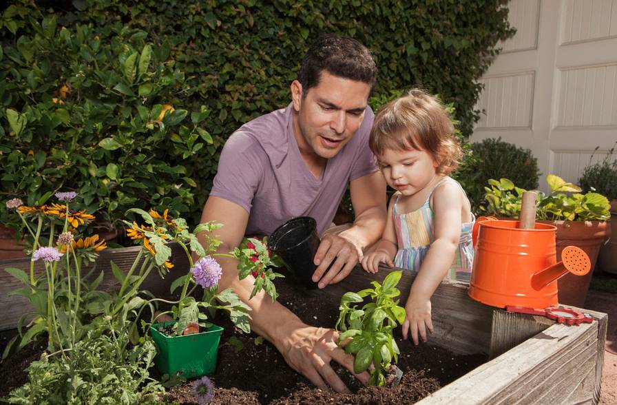 语言的学习顺序,学语言枯燥的主要原因